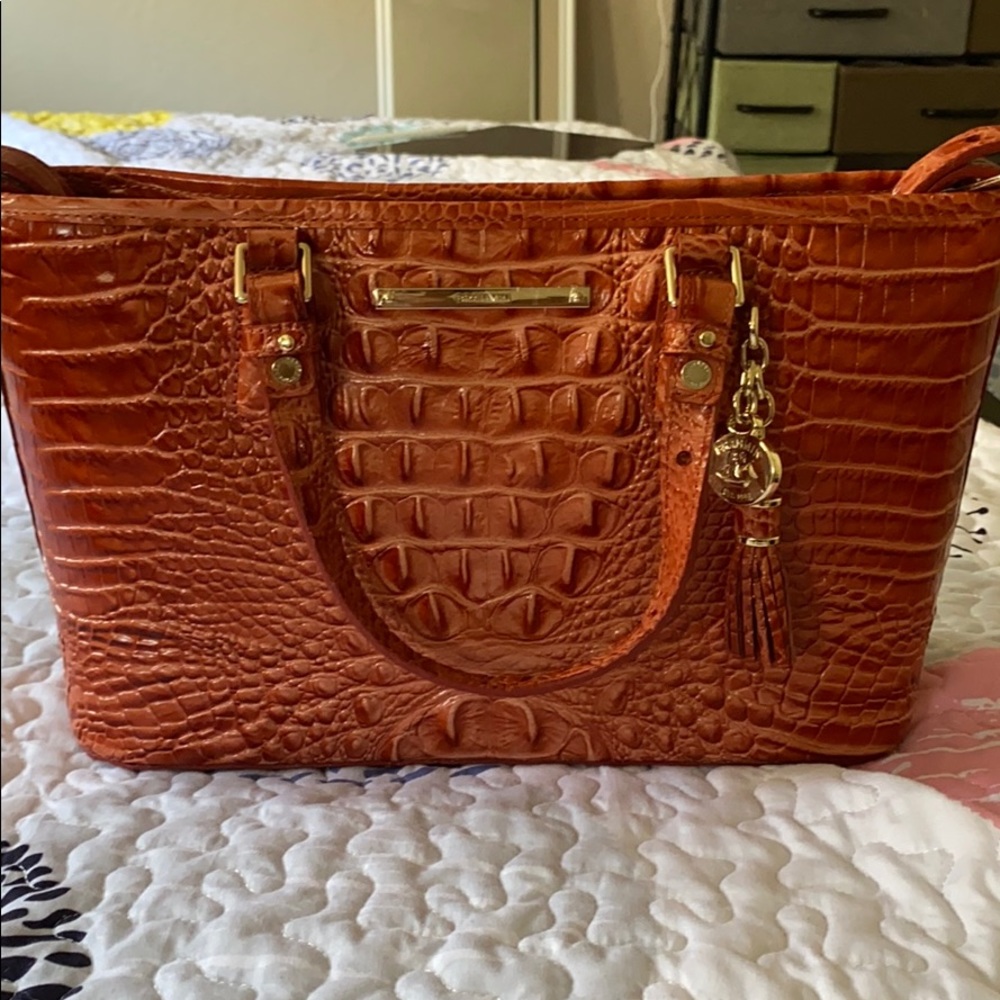 Slightly use Brahmin Purse